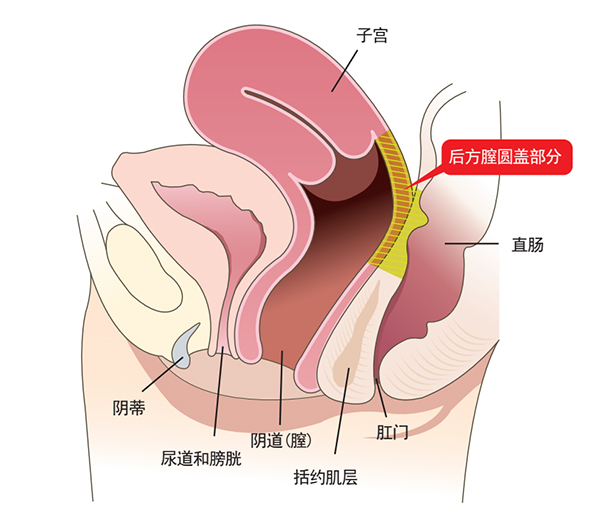 好手艺妇产科